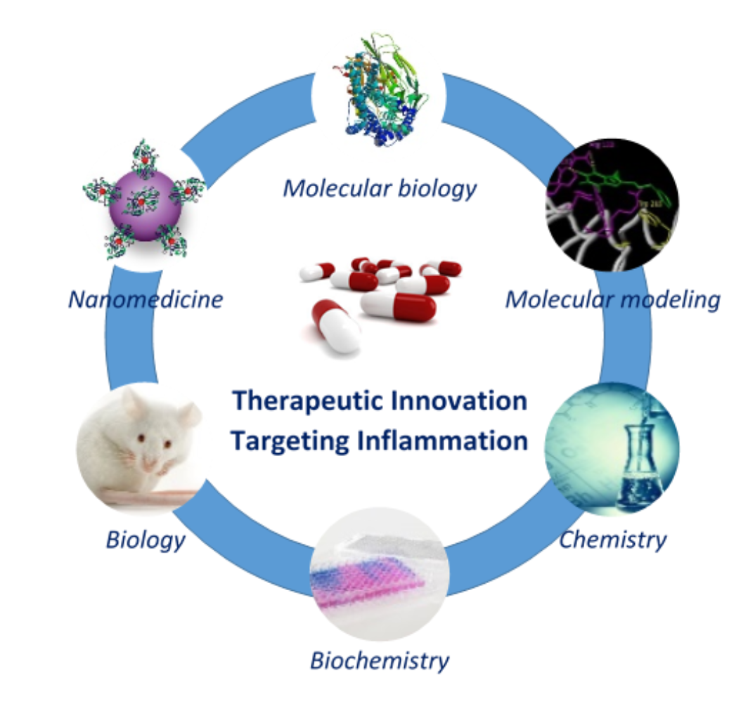 WP4_graphicalAbstract