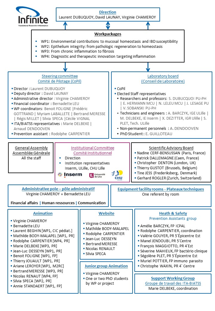 gouvernance INFINITE 2021